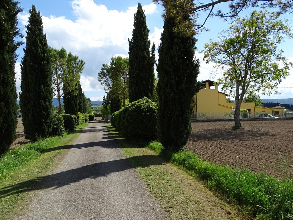 La Vecchia Stalla B&B Narni Eksteriør bilde