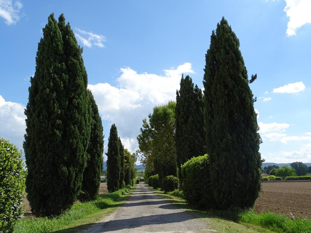 La Vecchia Stalla B&B Narni Eksteriør bilde