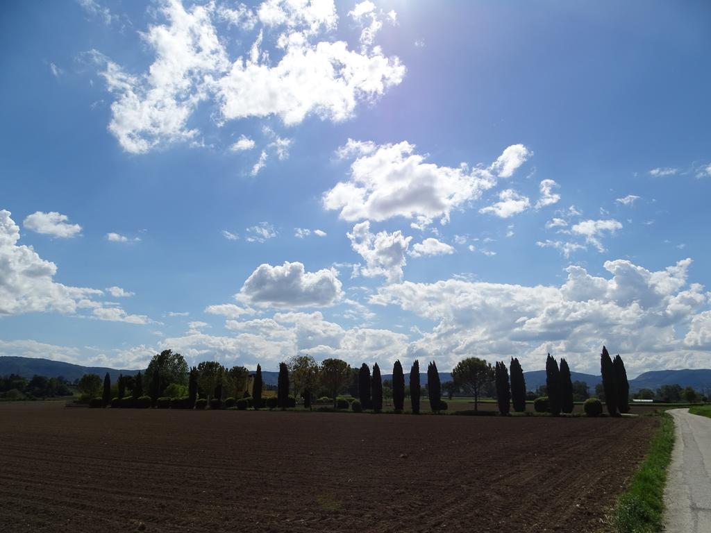 La Vecchia Stalla B&B Narni Eksteriør bilde